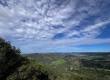 90d9c2bc b9b1 4631 910e 14377762d008